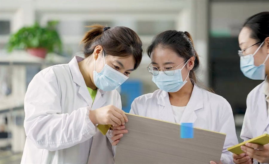 微信截圖_20241127195157 微信截圖_20241127195157